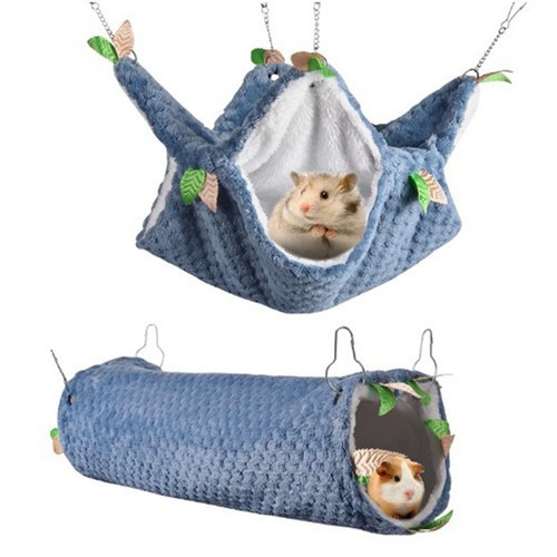 Pet hamster bird furetto - bird,