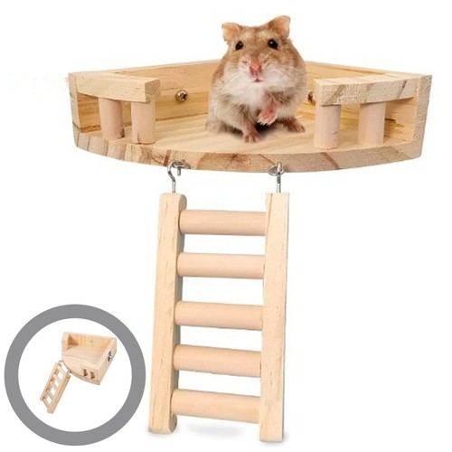 Cincillà ledge gabbia per - ledge,